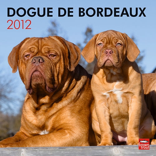 Simba with a puppy on the 2012 Dogue de Bordeaux calendar cover